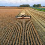 China’s soybean demand soars as record imports aim to ease supply shortages